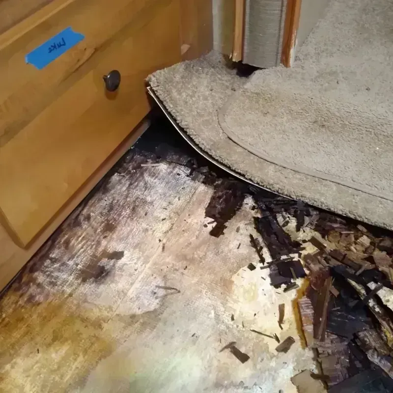 Wood Floor Water Damage in Green Haven, MD